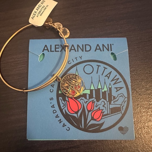 Ottawa Charm Bangle Alex and Ani - Picture 1 of 4